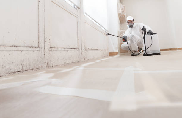 Trusted Commercial Mold Remediation service in Elmwood Park, NJ - WQB Mold Removal