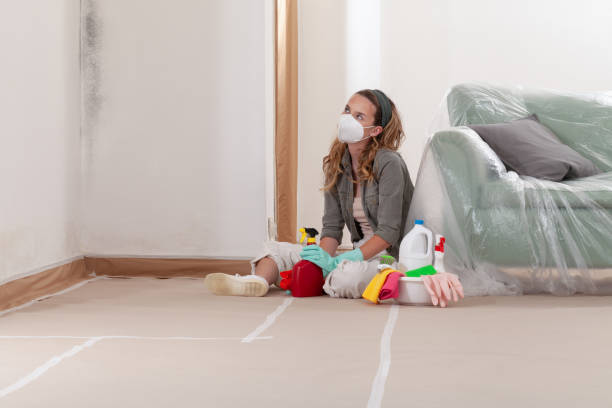 Reliable Commercial Mold Remediation contractor in Elmwood Park, NJ by WQB Mold Removal